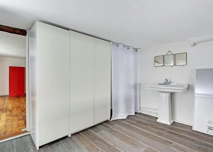 Large Duplex Le Marais 公寓 巴黎