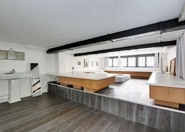 Large Duplex Le Marais 公寓